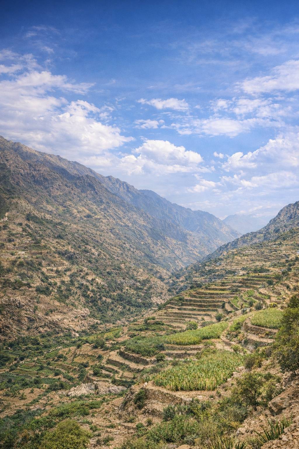فرصة عمل